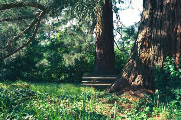 photo principale du coffret