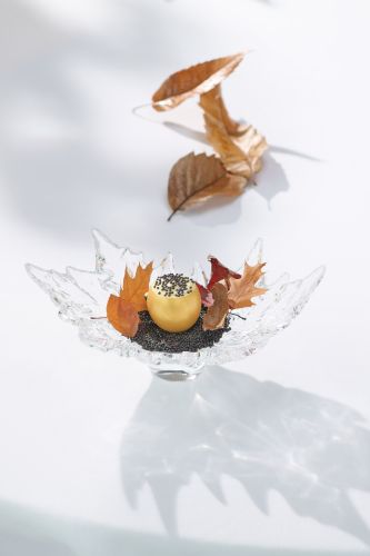 Menu gastronomique VALSE - 4 plats