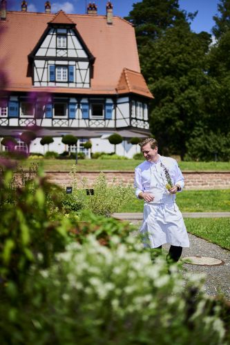 Menu gastronomique TERROIR VEGETAL - 4 plats